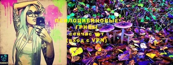 экстази Богородицк