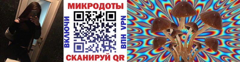 наркота  Дятьково  Галлюциногенные грибы MAGIC MUSHROOMS 