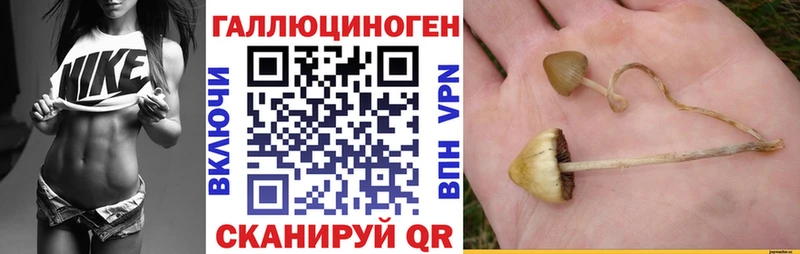 Галлюциногенные грибы мухоморы Дятьково